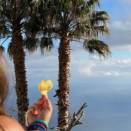 Paraiso - Traumgarten, Meerblick, Wandern Und Golf Villa Funchal (Madeira)