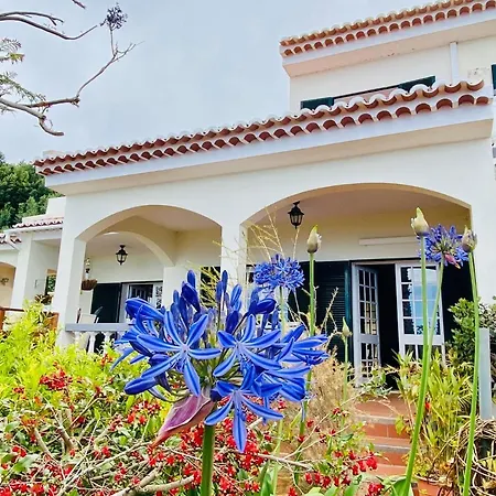 Villa Paraiso - Traumgarten, Meerblick, Wandern Und Golf Funchal (Madeira)