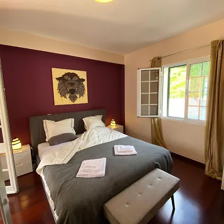 Villa Paraiso - Traumgarten, Meerblick, Wandern Und Golf Funchal (Madeira)